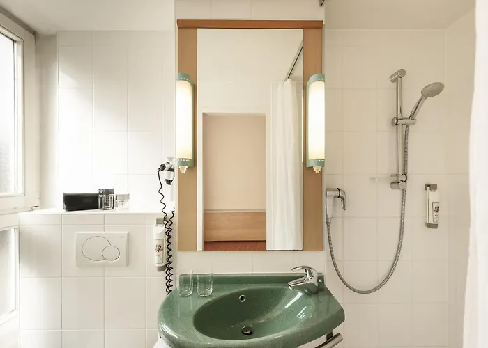Ibis Altstadt מלון באמברג